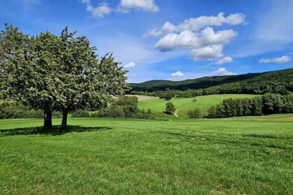 Corps De Ferme Traditionnel Lembach Exterior photo